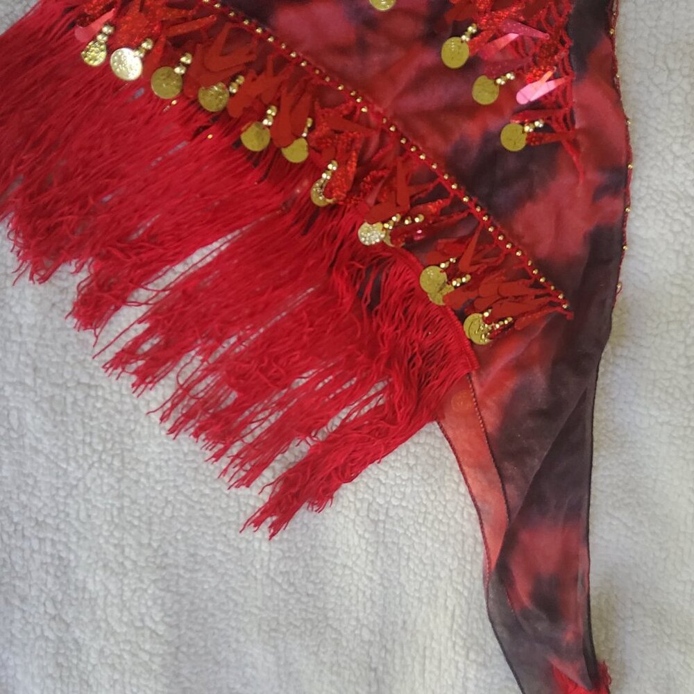 🆕️ Hip Scarf with Tassels Sequins, Triangle Coins Wrap Skirt NWOT - Picture 5 of 5